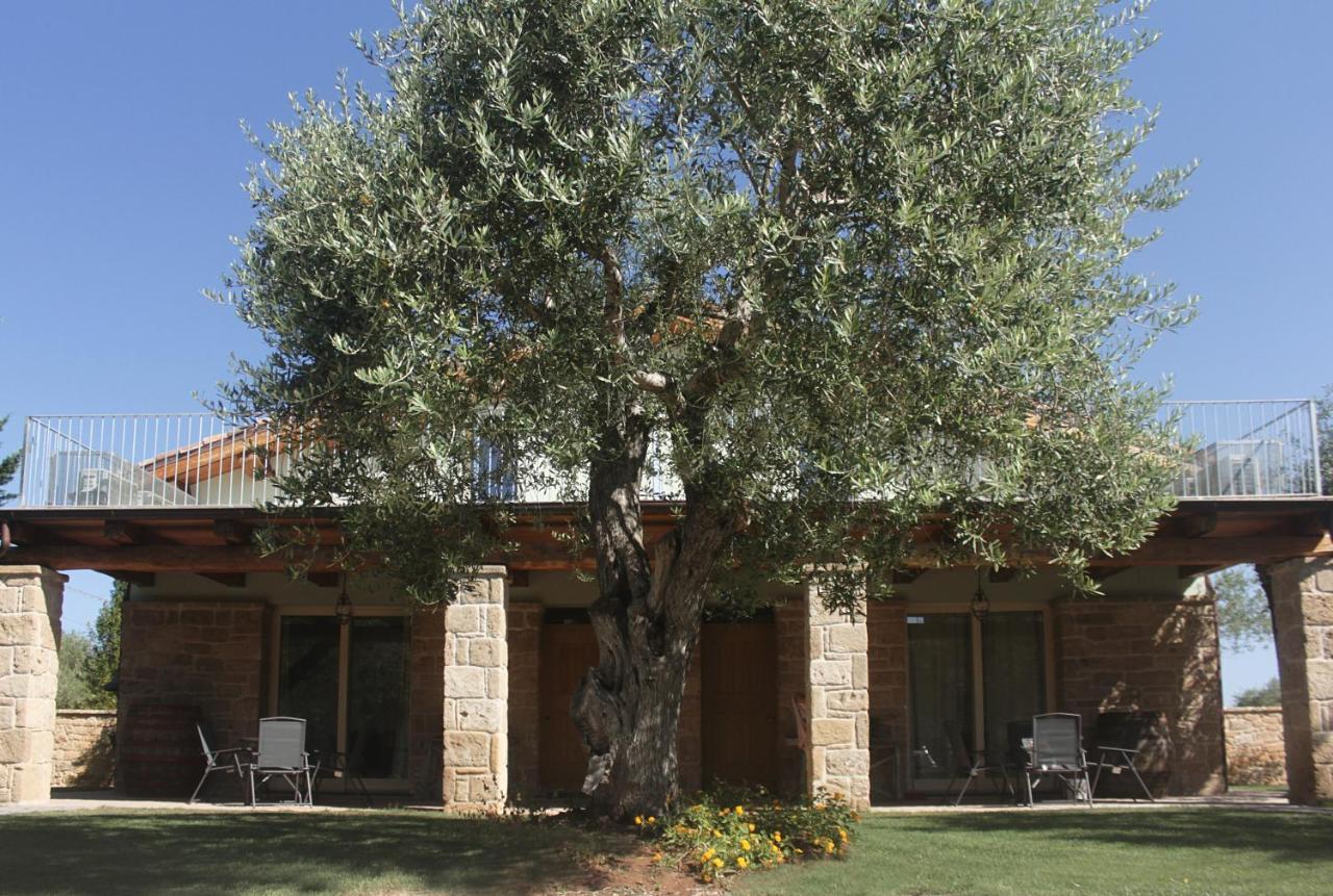 Bed and Breakfast Casal Lluent à Alghero Extérieur photo